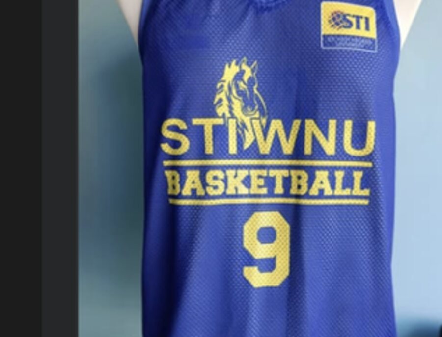 STI West Negros University logo